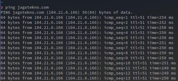 command linux ping internet