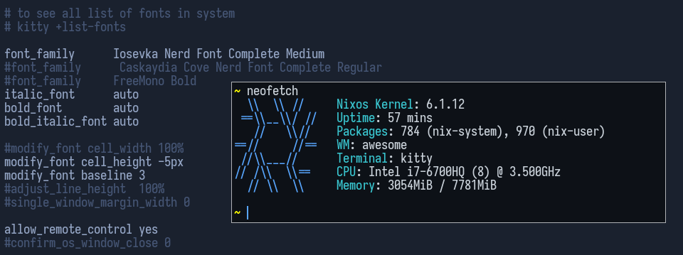 Cara Menggunakan Terminal Kitty | MRFDN